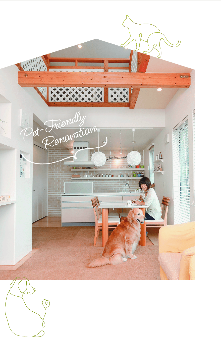 Pet-Friendly Renovation