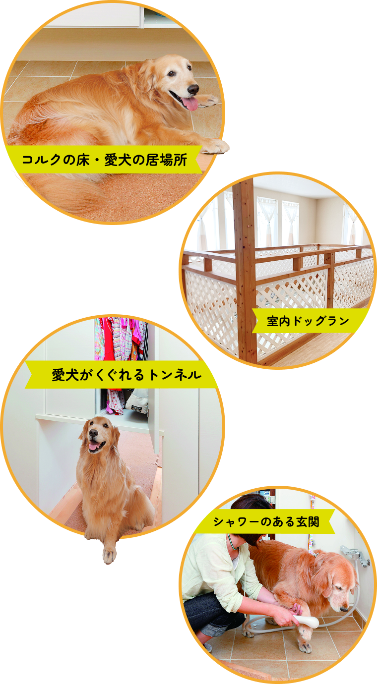 コルクの床・愛犬の居場所 室内ドッグラン 愛犬がくぐれるトンネル シャワーのある玄関