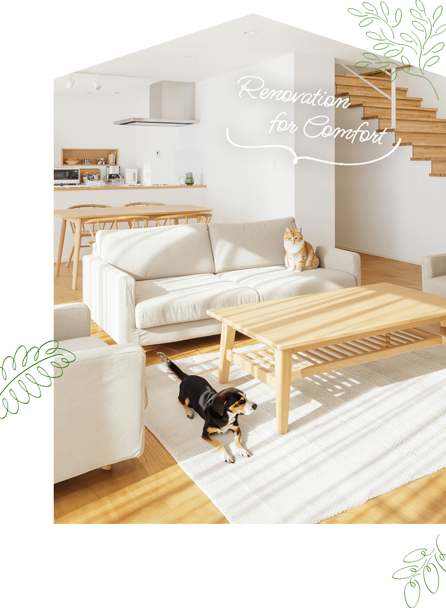 Renovation for Comfort